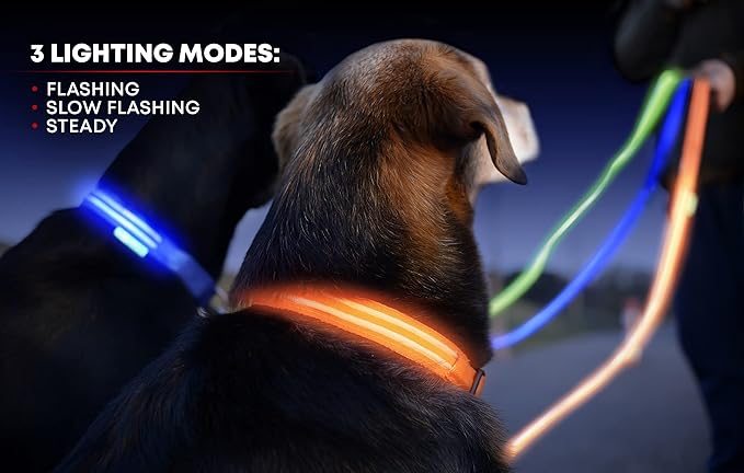 ILLUMISEEN LED Dog Collar USB Rechargeable - Bright & High Visibility Lighted Glow Collar for Pet Night Walking - Weatherproof, in 6 Colors & 6 Sizes (Blue X-Large)