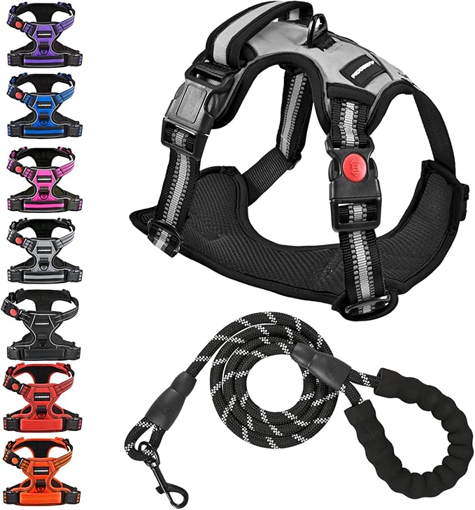No Pull Dog Harness with A Free Heavy Duty 5ft Dog Leash, Adjustable Soft Padded Dog Vest, Reflective No-Choke Pet Oxford Vest with Easy Control Handle and Dog Leash for Dogs (Grey, Medium)