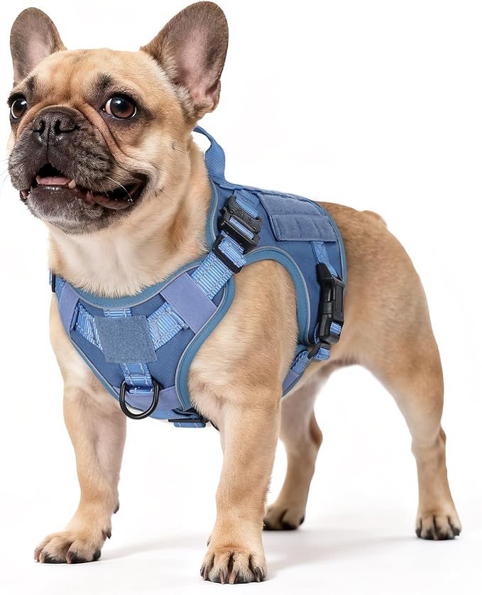 rabbitgoo Tactical Dog Harness Small Medium Sized, No Pull Upgraded Reflective Heavy Duty Molle Vest with Handle, Adjustable Military Service Dog Vest for Walking Hiking Training, Blue, S