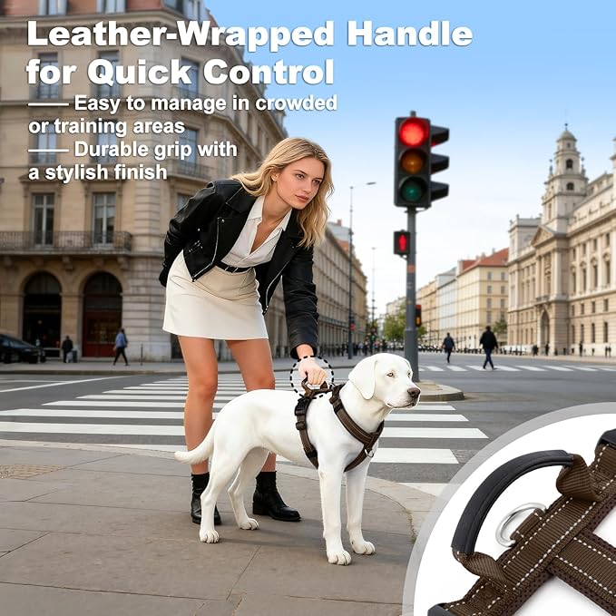 No Pull Dog Harness with Handle, Soft Mesh Padded Adjustable for Small Medium Large Dogs | Reflective Easy Walk Harness with Front Clip for Training, Running & Outdoor (Chocolate, XL)