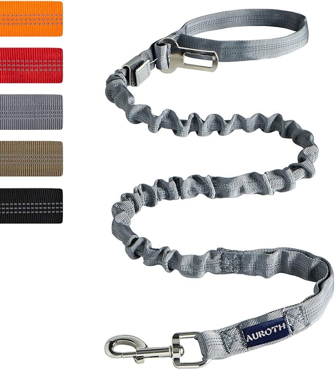 AUROTH Heavy Duty Dog Leash for Large Breeds, Bungee No Pull Leash with Shock Absorption, 6FT with 2 Padded Handles