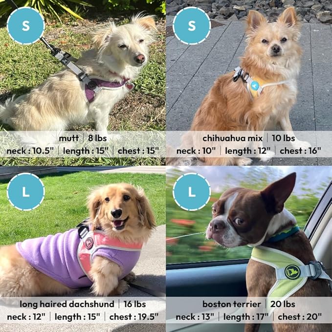 Gooby Simple Step in III Harness - Green, Large - Small Dog Harness with Scratch Resistant Outer Vest - Soft Inner Mesh Harness for Small, Medium Dogs