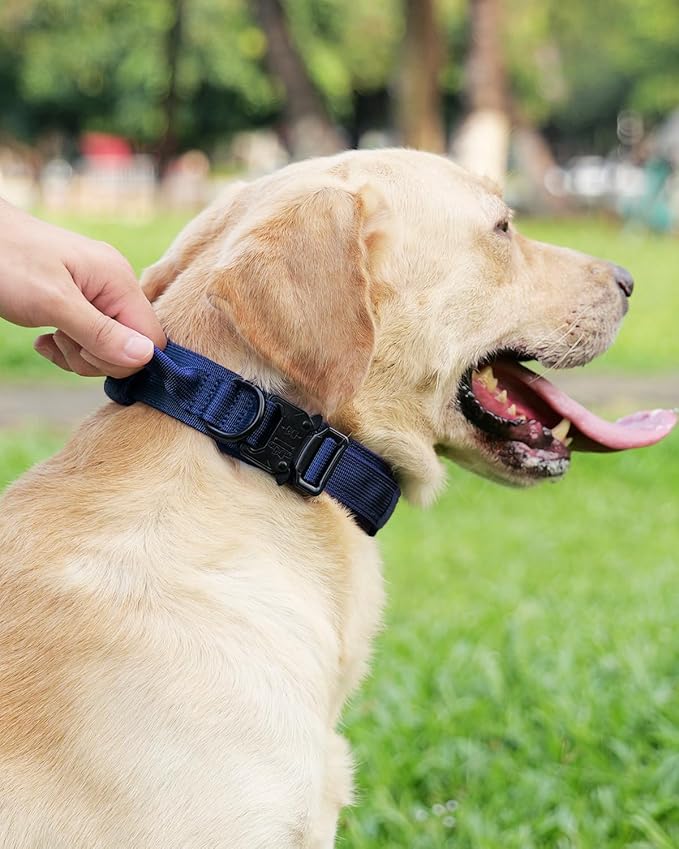 Joytale Tactical Dog Collar with Handle, Adjustable Heavy Duty Military Collar with 2 Patches for Training, Suitable for Medium Dogs, Navyblue, M