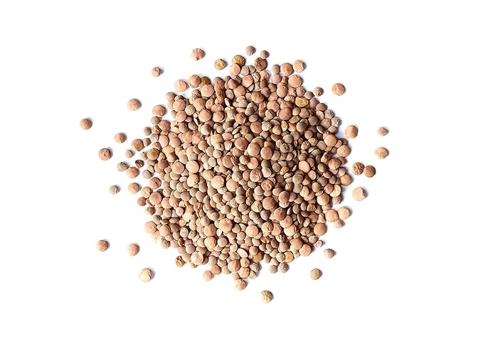 Food to Live Organic Whole Red Lentils, 5 Pounds Non-GMO, Dry Raw Lentils, Sproutable, Vegan, Kosher, Bulk. Easy to Cook. Good Source of Folate, Fiber, and Protein. For Lentil Soup, Stews, and Curry