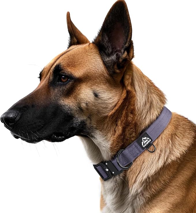 Dog Collar for Large Dogs - Adjustable, Chew Proof Nylon Collar with Metal Quick Release Buckle and D-Ring for Dog Tags (Montana Moonrise, L(1''Width, Fit 14''-20''))