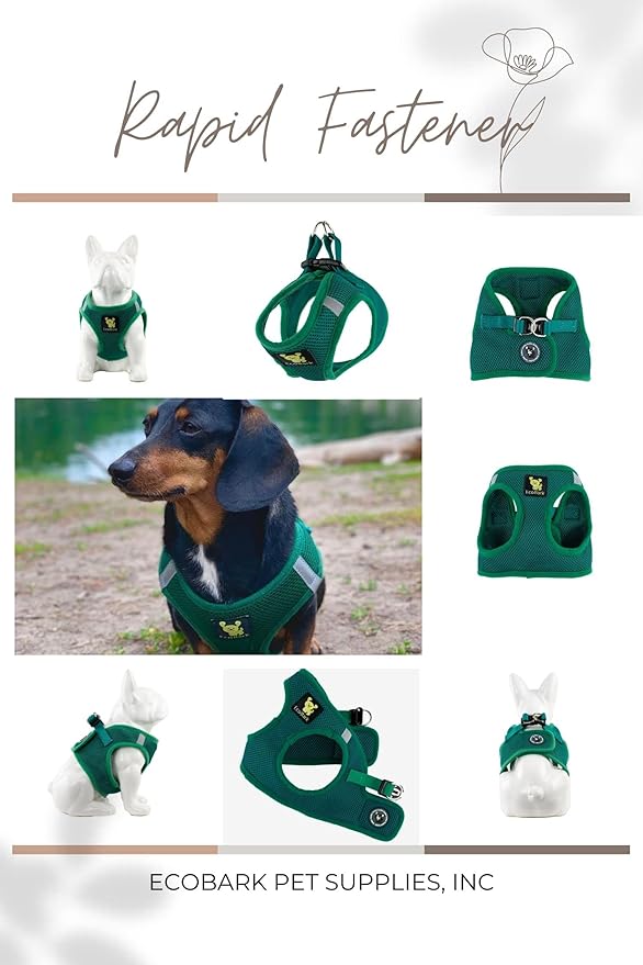 EcoBark Step in Dog Harness - Eco-Friendly Teacup Dog Harnesses for XXS, XS, and Small Breed Dogs - Reflective and Adjustable Mini Body Halter Vest -Tiny Soft Mesh Toy Breed Harness (Forest Green, XS)