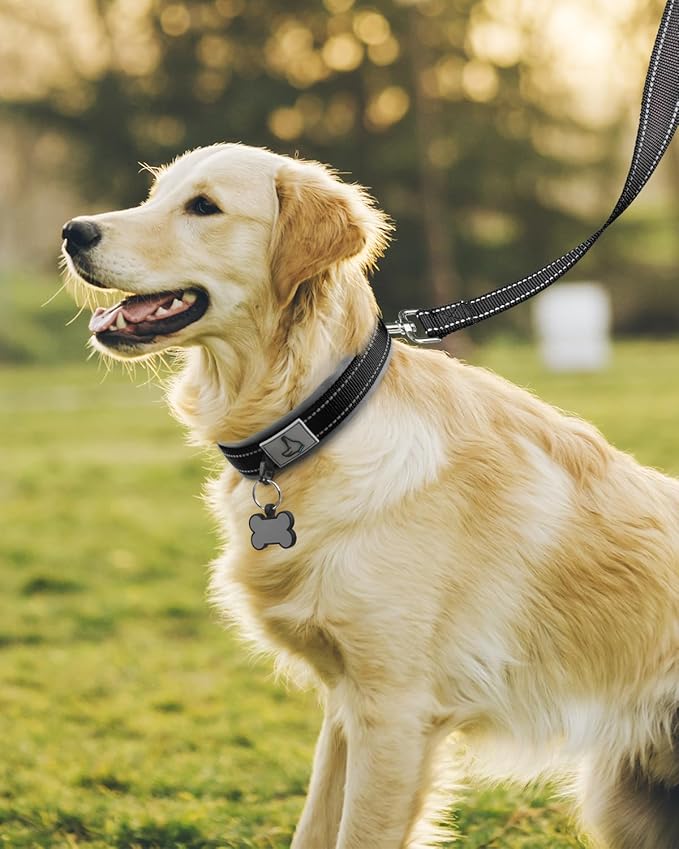 Joytale Dog Collar for Large Dogs, Neoprene Padded and Adjustable, Reflective Wide Heavy Duty Pet Collars with Durable Metal Belt Buckle for Walking, Black, L