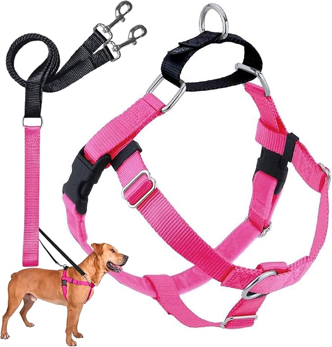 2 Hounds Design Freedom No Pull Dog Harness, Adjustable Harness and Leash Set, Easy Walking & Comfortable Control, Fits Small, Medium & Large Dogs, Solid Colors, Made in USA, 1" LG, Hot Pink
