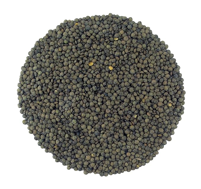 Organic French Green Lentils Whole Raw, High Fiber Non-GMO-Bulk (1LB)
