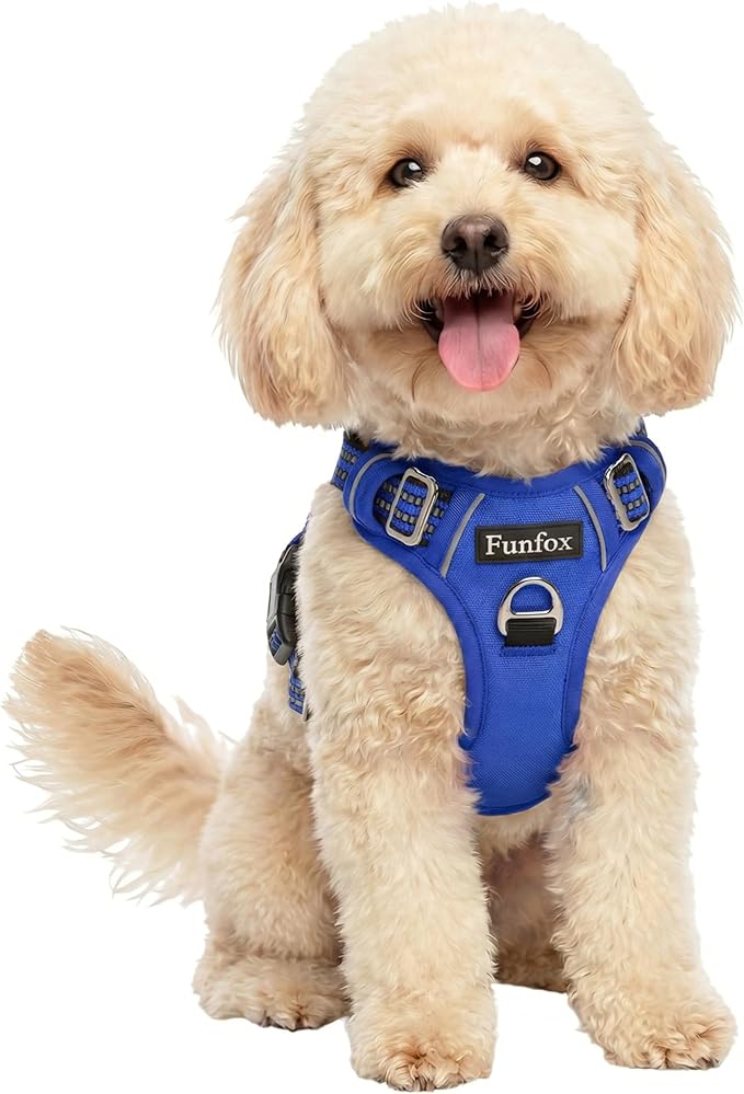 Funfox Dog Harness No Pull, Adjustable Pet Vest Harness, Super Soft Material with Vertical Handle Easy Control, Reflective Night Walking, 2 Leash Clips for Small Sized Dogs, Blue, S