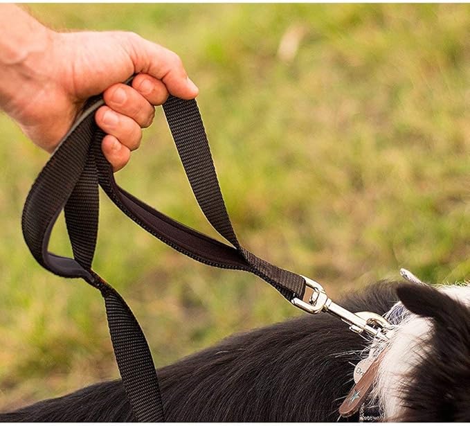 Dog Leash for Large Dogs, Traffic Padded 2 Handles for Extra Control, 6 FT Long with Reflective Stitch for Night Walking Black
