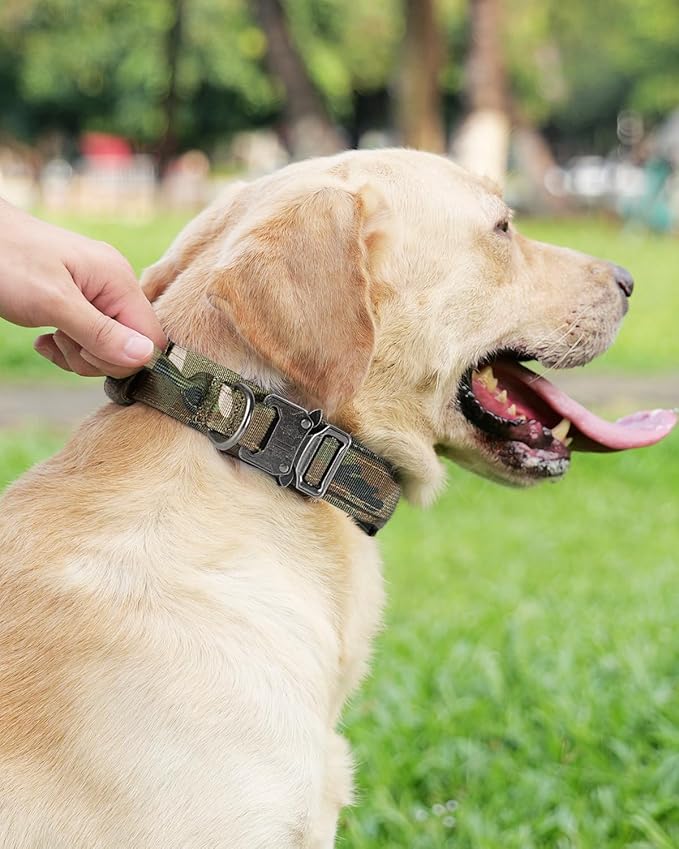 Joytale Tactical Dog Collar with Handle, Adjustable Heavy Duty Military Collar with 2 Patches for Training, Suitable for Large Dogs, Camouflage, L