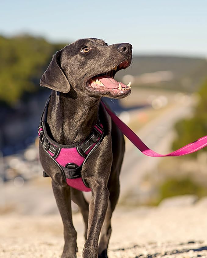 Joytale No Pull Dog Harness for Small Dogs, Reflective Pet Vest with Front Clip, Adjustable Soft Padded Harnesses with Easy Control Handle for Training and Walking, Hot Pink, S