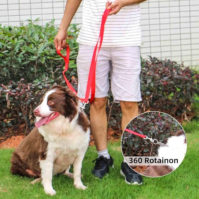 AMAGOOD 6 FT Puppy/Dog Leashes, Traditional Style Leash with Easy to Use Collar Hook, Great for Small, Medium and Large Dogs (3/4 in x 6 ft, Red)