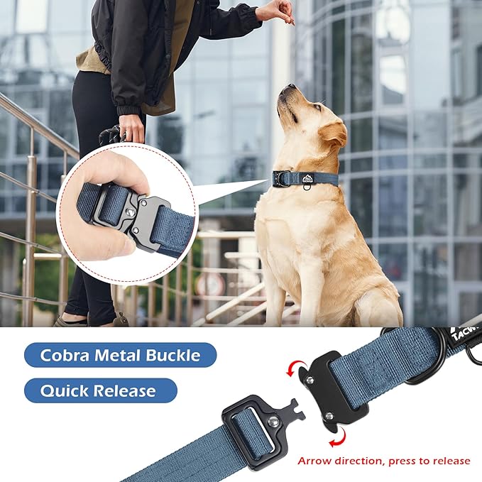Dog Collar for Large Dogs - Adjustable, Chew Proof Nylon Collar with Metal Quick Release Buckle and D-Ring for Dog Tags (Haze Blue)