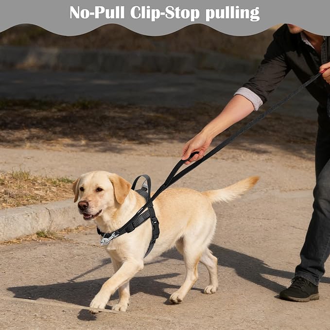 Annchwool No Pull Dog Harness with Front Clip and Easy Control Handle-Belly & Chest Adjustable Dog Harness and Leash Set for Medium Large Dogs-Heavy Duty Vest Harnesses Easy for Walking(Black,M)