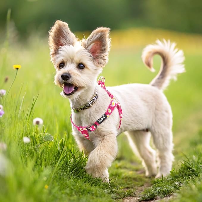PUPTECK No Pull Dog Harness Soft Adjustable Basic Nylon Step in Puppy Vest Outdoor Walking with ID Tag, Fuchsia Daisy, S