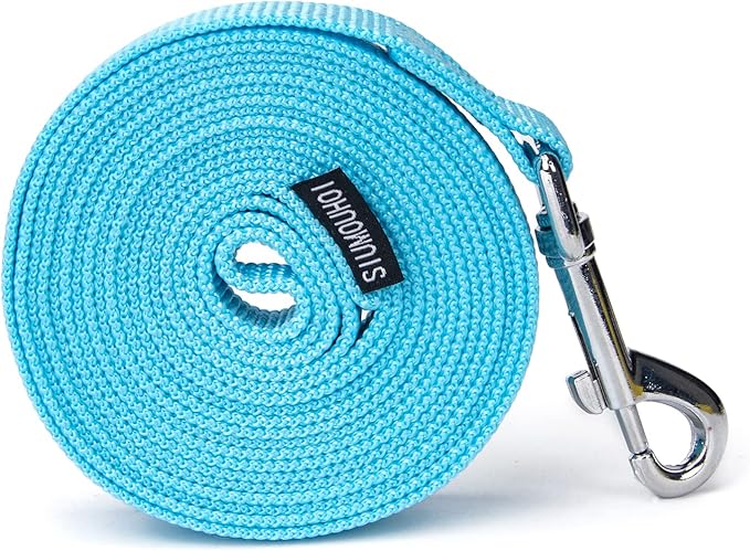 Strong Durable Nylon Dog Training Leash, 1 Inch Wide Traction Rope, 10 ft Long, for Small and Medium Dog (Mint Blue, 10 Feet)