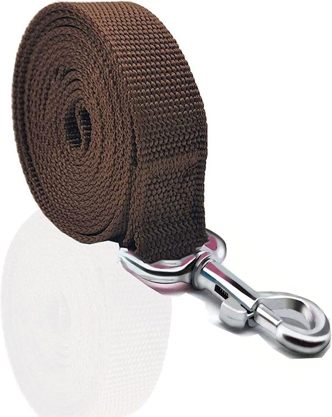 Nylon Dog Leash 16 Feet Long, Walking Training Dog Leashes for Medium Large Dogs(1" X 16 ft, Brown)