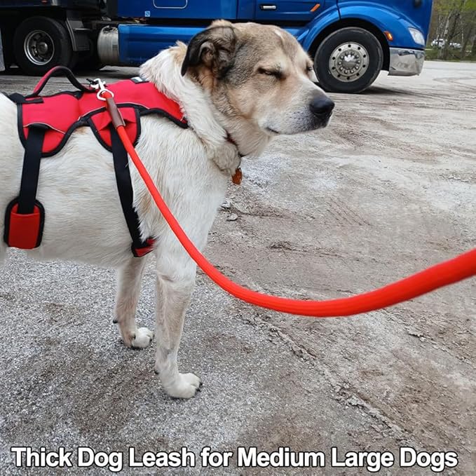 MayPaw 4/6 /8/10 FT Dog Leash, Classic Solid Colors, Strong Nylon Rope Dog Leash Reinforced with Leather Tailor Connection Heavy Duty Silver Clasp (red, 8ft*1/2")