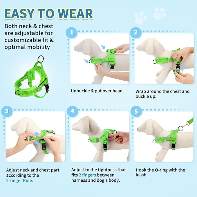 SlowTon No Pull Small Dog Harness and Leash Set, Puppy Soft Vest Harness Neck & Chest Adjustable, Reflective Lightweight Harness & Anti-Twist Pet Lead Combo for Small Medium Dogs (Green-Front Clip,XS)