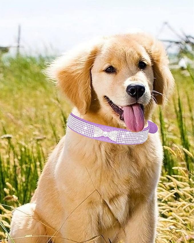 Dog Collar for Small Dogs, Adjustable Leather Suede Bling Dog Collars，Pink Dog Collar Cat Collar, Rhinestone Dog Collar (L, Rose red4)