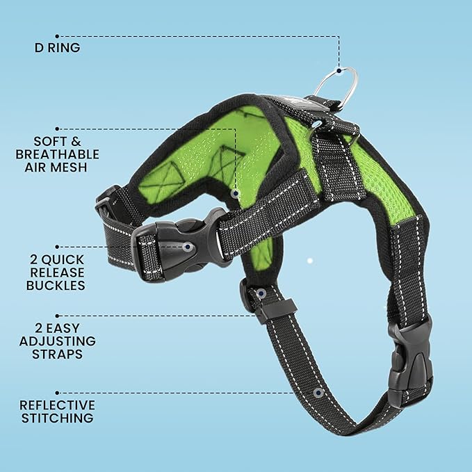 No Pull Reflective Adjustable Dog Harness With Handle- Comfortable Soft All Weather Mesh, Easy On Puppy Harness For Small Medium and Large Dogs (Green) XX-Small