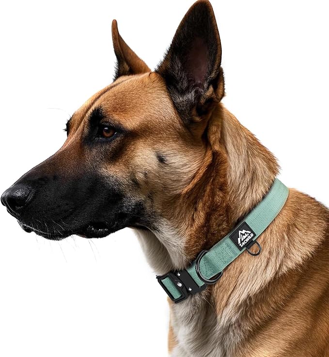 Dog Collar for Small Dogs Christmas Boy Girl - Adjustable, Chew Proof Nylon Collar with Metal Quick Release Buckle and D-Ring for Dog Tags (Florida Seaside, S)(not Included The Pendant)