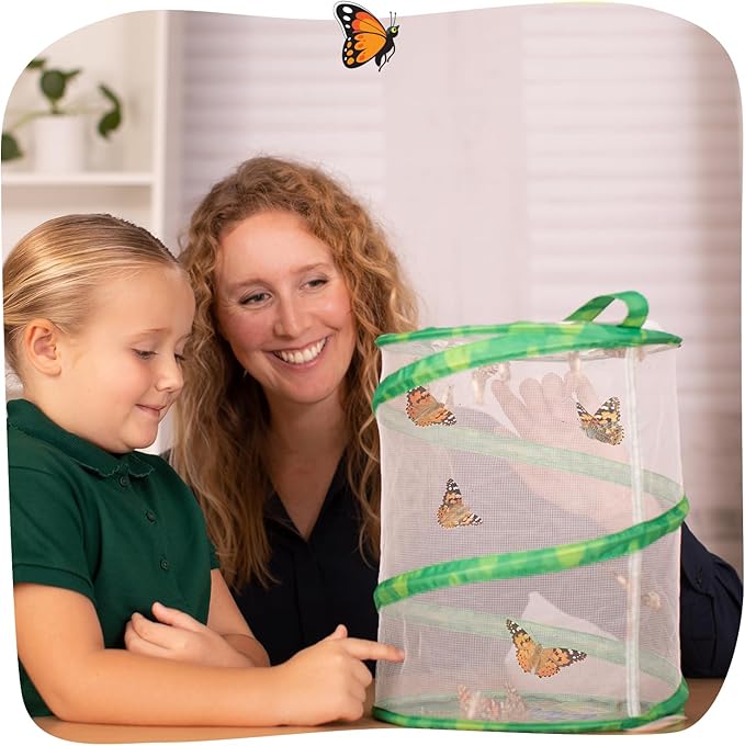 Insect Lore Raise and Release Butterfly Garden Kit – Caterpillar Habitat with redeemable Voucher – STEM-accredited Butterfly Growing Kit for Kids, Classrooms, and Homeschool Learning
