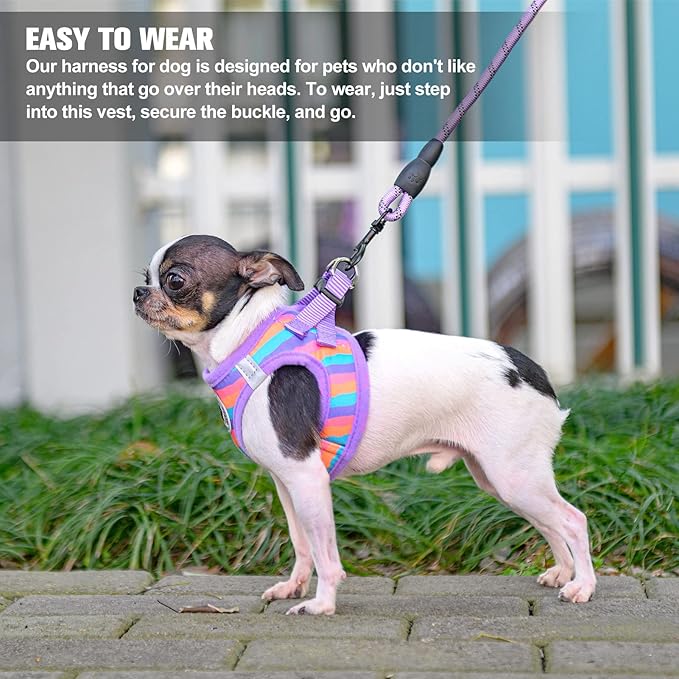 BEAUTYZOO Dog Harness and Leash Set for Small Dogs,No Pull Step-in Harness for Puppy XS S Sized Dogs and Cats,Air Mesh Adjustable Breathable Soft No Choke Escape Proof Vest Harnesses,Striped Purple XS