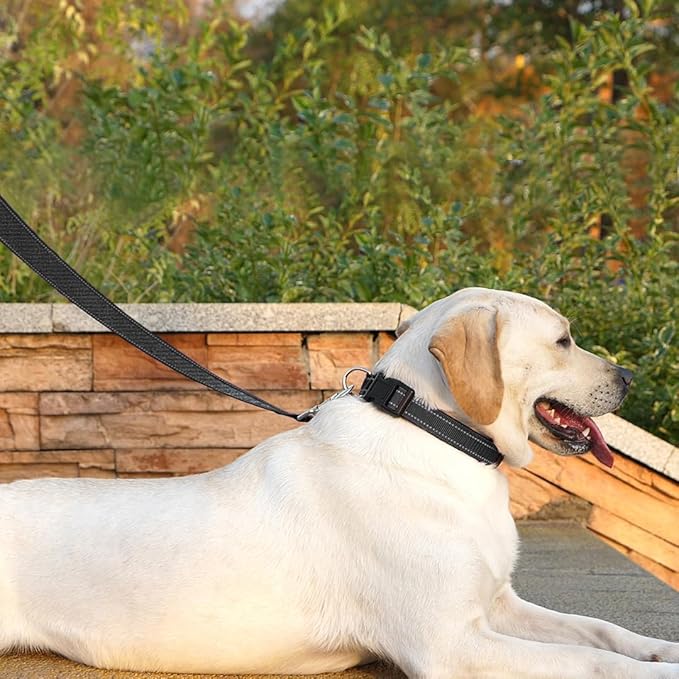 Dog Leash 6 FT Padded Handle Nylon Reflective Dogs Leashes for Medium Dogs Black