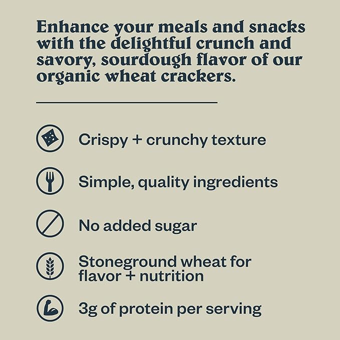 Patagonia Provisions Organic Sourdough Sea Salt Crackers – 3g Plant Protein Per Serving – Made with Wheat Flour & Sea Salt – Non-GMO, No Added Sugar - Crispy & Crunchy