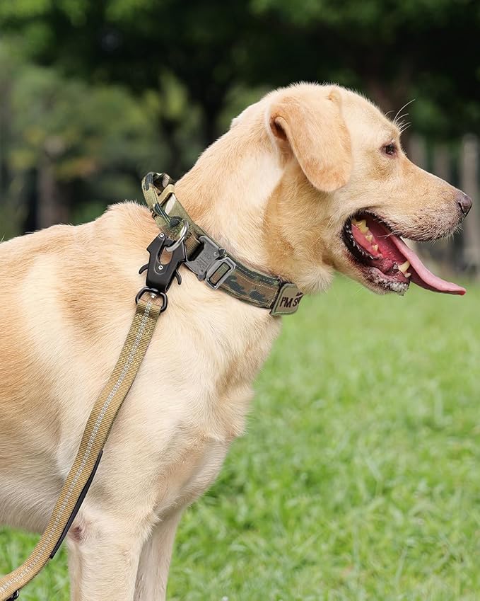 Joytale Tactical Dog Collar with Handle, Adjustable Heavy Duty Military Collar with 2 Patches for Training, Suitable for Large Dogs, Camouflage, L