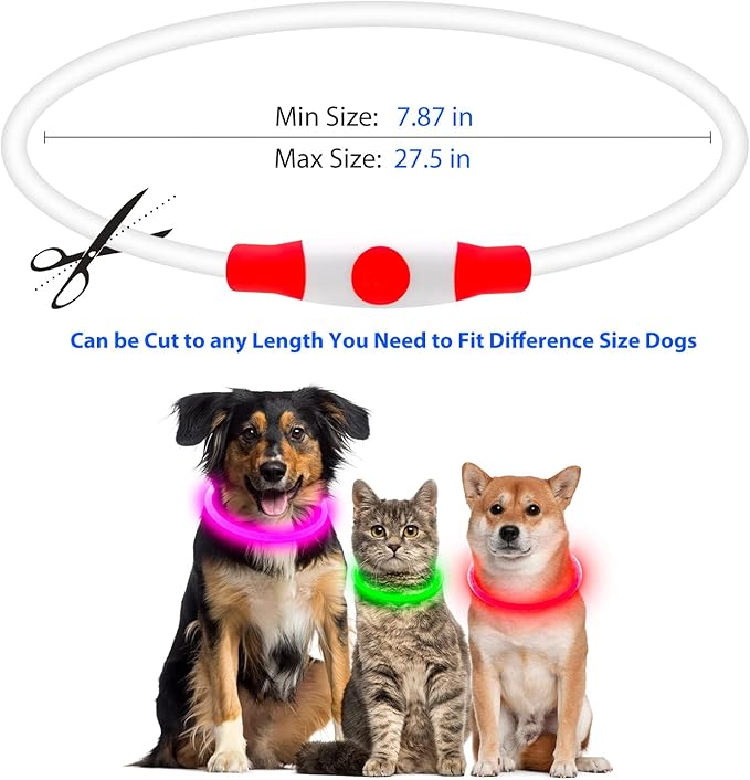 Flashseen LED Dog Collar, USB Rechargeable Glowing Lighted Up Collar, Cuttable Water-Resistant TPU Safety Collar Lights for Small Medium Large Dogs