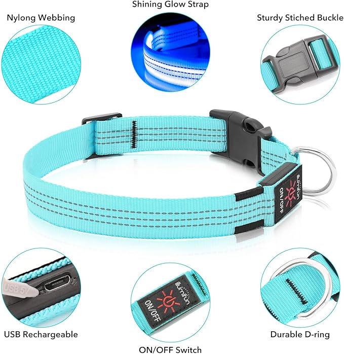 Illumifun LED Dog Collar, Reflective Light Up Collars for Small Dog, USB Rechargeable Pet Collar Light for Dogs Walking Camping (Blue?? Small)