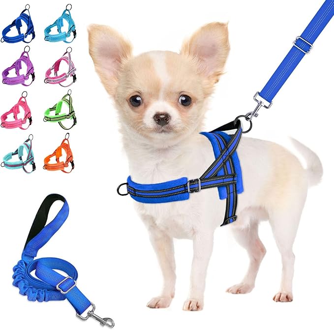 Lukovee No Pull Dog Harness and Leash Set, Soft Padded Small Dog Harness, Neck & Chest Adjustable Reflective Vest Puppy Harness with 4ft Lightweight Anti-Twist Dog Leash for Small Dogs (XS, Blue)