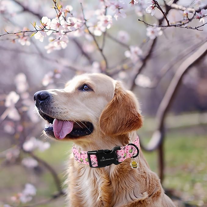 ARING PET Pink Dog Collar, Cute Yellow Bees Pet Collars for Puppy Small Medium Large Boy Girl Dogs-M