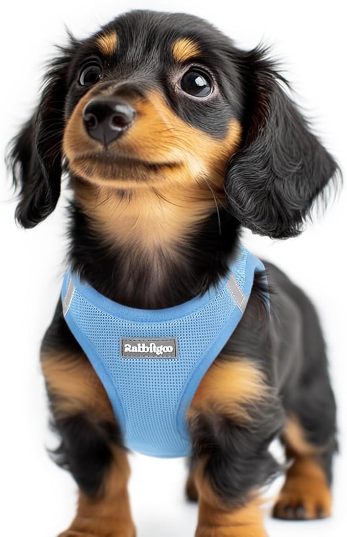 rabbitgoo Small Dog Harness, Step-in Soft Mesh Puppy Vest with Safety Buckle, Breathable Reflective Pet Harness for Extra Small Dogs, Blue XXS