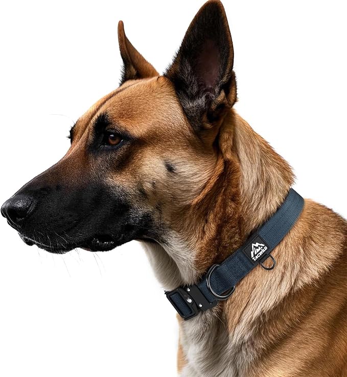 Heavy Duty Dog Collars for Medium and Large Dogs - Adjustable, Chew Proof Nylon Collar with Metal Quick Release Buckle and D-Ring for Dog Tags (Navy Blue, 2XL)