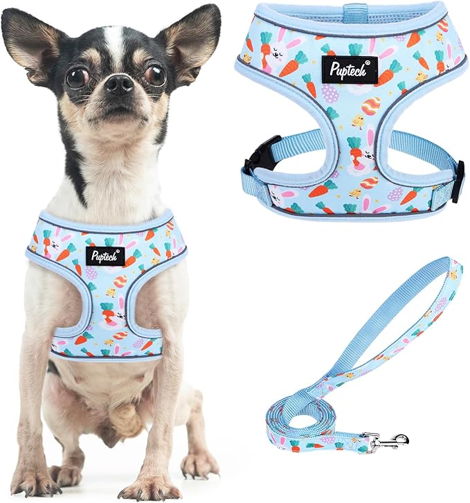 PUPTECK Soft Mesh Dog Harness and Leash Set Pet Puppy Cat Comfort Padded Vest No Pull Harnesses, Easter Blue, S