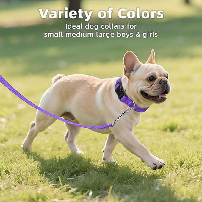 Reflective Dog Collar for Small Dogs, Soft Neoprene Padded with Quick Release Buckle, Adjustable Nylon Pet Collar for Walking,Purple,S