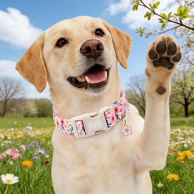 Elegant little tail Dog Collar, Pink Flower Print Spring Soft Cotton Puppy Collars Adorable Female Pet Gift Lightweight Plastic Adjustable Dog Collar for Large Dogs