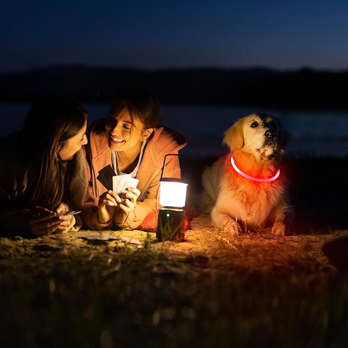 HIGO LED Dog Collar Light - USB Rechargeable Light Up Dog Collars, DIY Flash LED Dog Necklace for Your Dogs Walking at Night (Red)