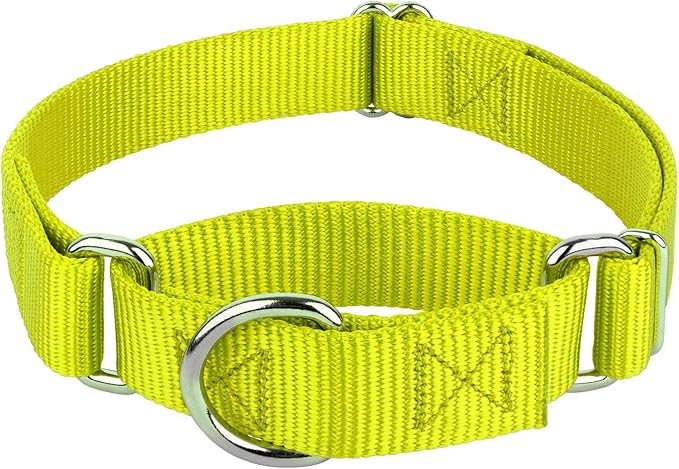 Country Brook Petz - Martingale Dog Collar - Heavy-Duty Training Collar with No Buckle - Service Dog Collar for All Pups - 10+ Warm Colors (Hot Yellow, 3/8 Inch, 3XS)