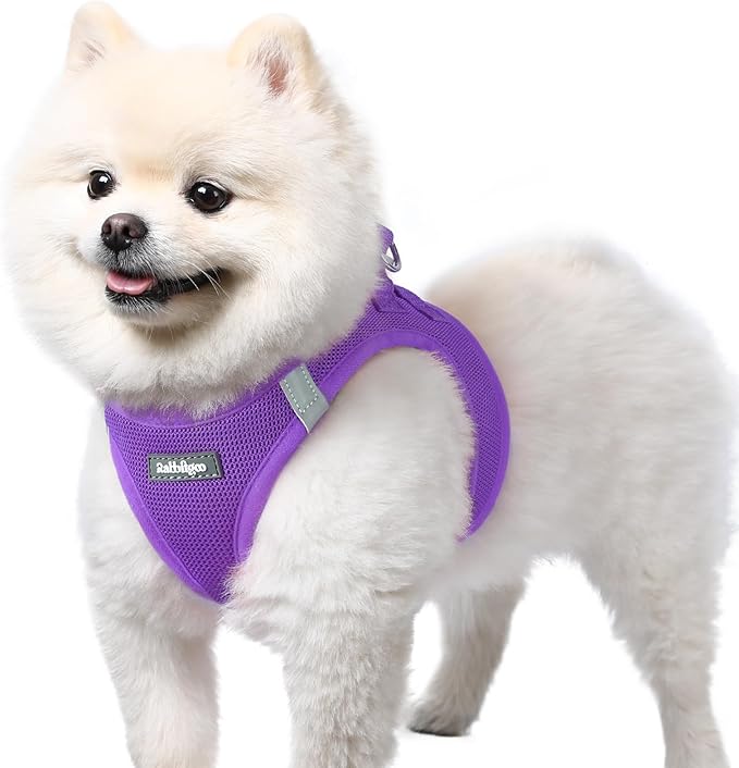 rabbitgoo Small Dog Harness, Step-in Soft Mesh Puppy Vest with Safety Buckle, Breathable Reflective Pet Harness for Small Sized Dogs, Purple S