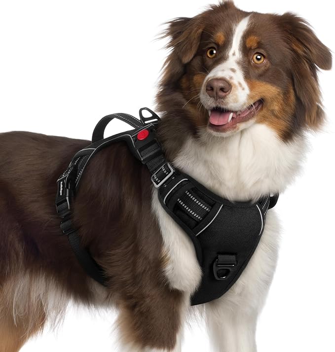 rabbitgoo Dog Harness for Large Dogs, No Pull Pet Harness with Soft Padded Handle, Adjustable Reflective Vest with 3 Buckles, Easy Walking Harness with 2 Leash Clips, Black, XL