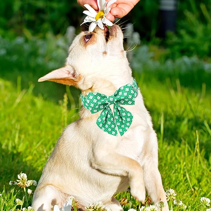 Maca Bates St. Patrick's Day Shamrock Dog Collar,Sailor Bow,Large Girl Boy Dogs, Checkered Lucky Clover Pattern,Adjustable Durable Soft Checkered Collars Irish Gift for Male Female Puppy
