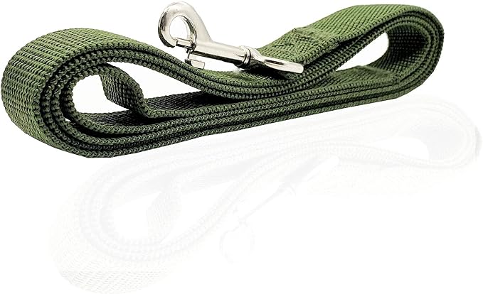 Nylon Dog Leash 16 Feet Long, Walking Training Dog Leashes for Medium Large Dogs(1" X 16 ft, Green)