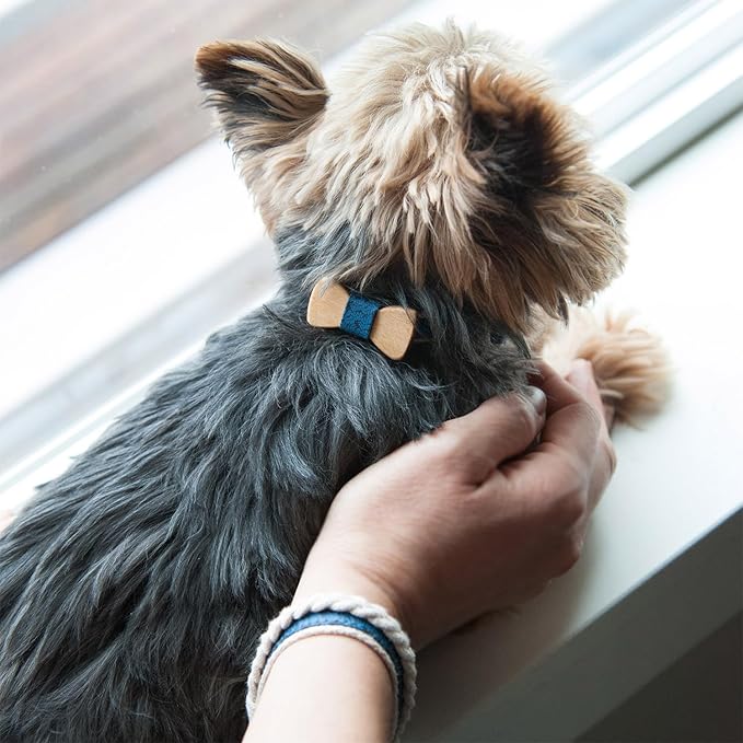 Pettsie Adjustable Dog Bow Tie Collar with Matching Owner Friendship Bracelet – Stylish & Durable Pet Accessory, Soft Hemp & Cotton, Secure D-Ring, Gift-Ready Set, XS, Blue