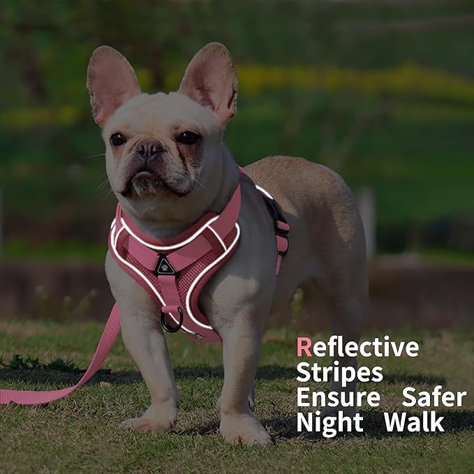 No Pull Dog Harness with Leash Set for Small Sized Dog, Reflective Adjustable No Choke Front Clip Cat Vest Harness with Breathable Mesh, Comfortable Soft Padded Pet Vest, Pink L